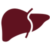 Fatty Liver Support